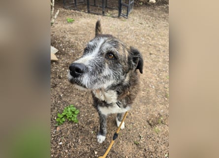 Luke: unglaublich menschenbezogen