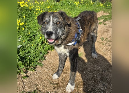 Luke: unglaublich menschenbezogen