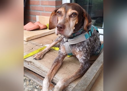 Patty: sie hat alles, was man sich wünscht