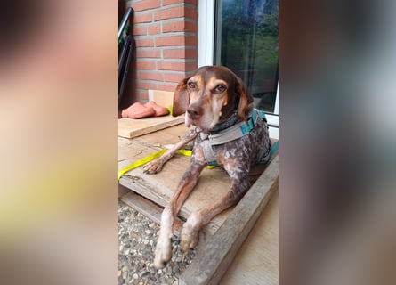 Patty: sie hat alles, was man sich wünscht