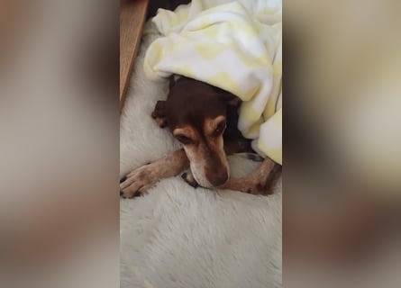 Patty: sie hat alles, was man sich wünscht