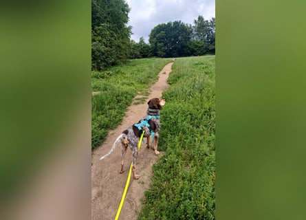Patty: sie hat alles, was man sich wünscht