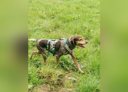 Patty: sie hat alles, was man sich wünscht