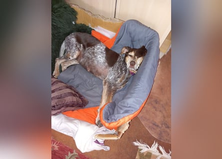 Patty: sie hat alles, was man sich wünscht