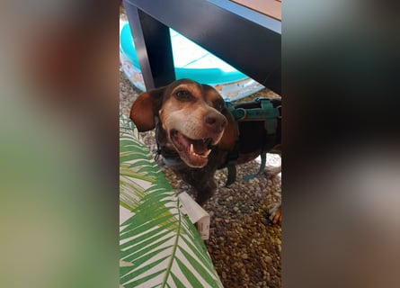 Patty: sie hat alles, was man sich wünscht