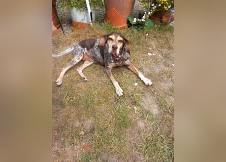 Patty: sie hat alles, was man sich wünscht