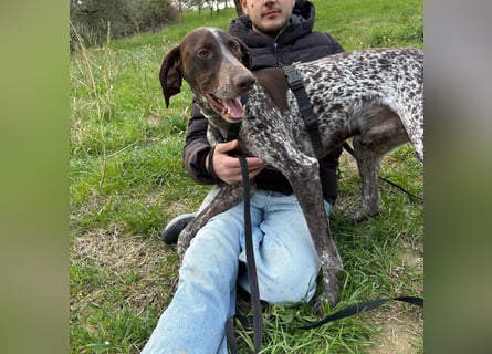 Max - gute Laune auf vier Pfoten sucht seine sportlichen Menschen für gemeinsame Abenteuer