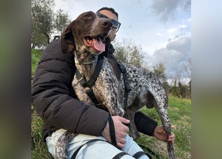 Max - gute Laune auf vier Pfoten sucht seine sportlichen Menschen für gemeinsame Abenteuer