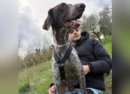 Max - gute Laune auf vier Pfoten sucht seine sportlichen Menschen für gemeinsame Abenteuer