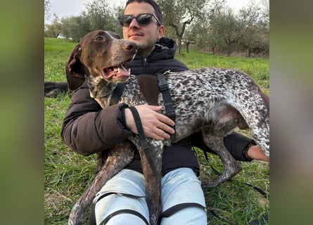 Max - gute Laune auf vier Pfoten sucht seine sportlichen Menschen für gemeinsame Abenteuer