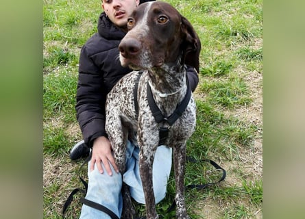 Max - gute Laune auf vier Pfoten sucht seine sportlichen Menschen für gemeinsame Abenteuer