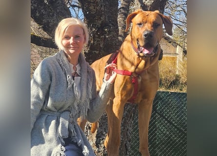 Cadillac - Power und Lebensfreude pur - Tierhilfe Franken e.V.