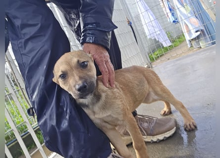 Ludmilla: 1000 Streichelhände gesucht