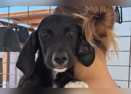Marina: Kuschelmaus sucht Dich