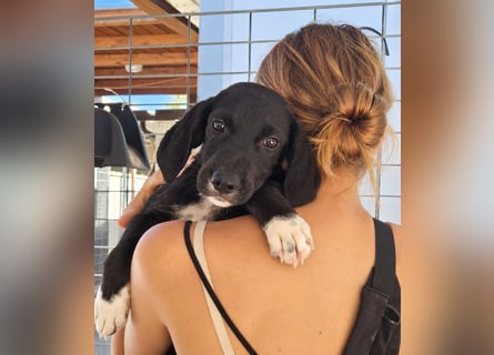 Marina: Kuschelmaus sucht Dich