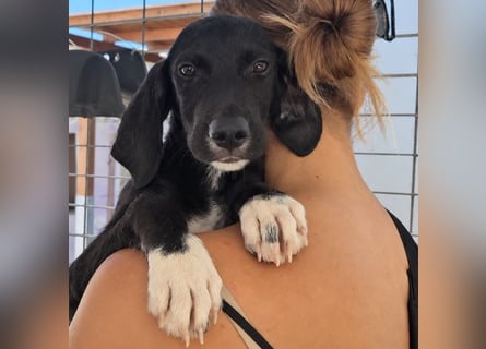 Marina: Kuschelmaus sucht Dich
