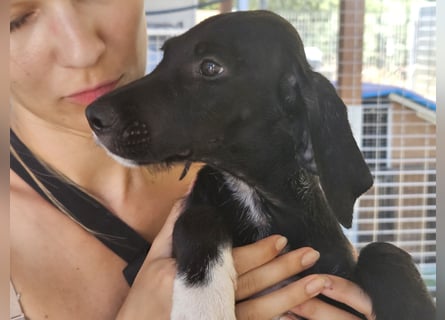 Marina: Kuschelmaus sucht Dich
