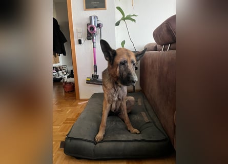 Lina: Mittendrin statt nur Dabei