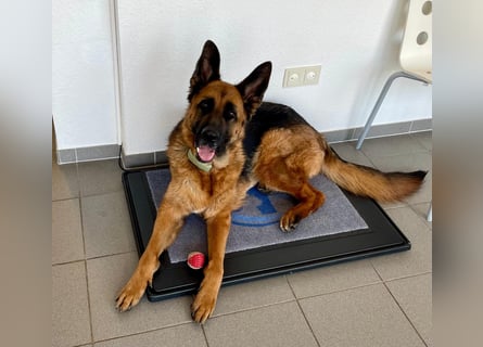 Lina: Mittendrin statt nur Dabei