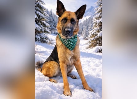 Lina: Mittendrin statt nur Dabei