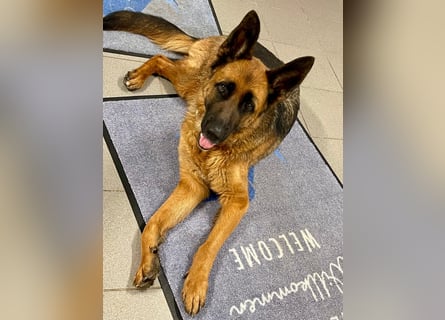 Lina: Mittendrin statt nur Dabei