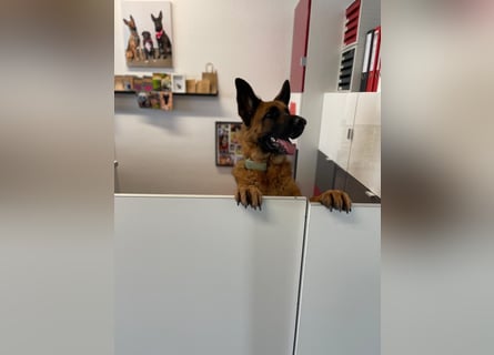 Lina: Mittendrin statt nur Dabei