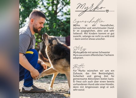 MYRKO sucht sein Zuhause