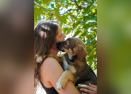 Tilly und Theo suchen noch ein Zuhause