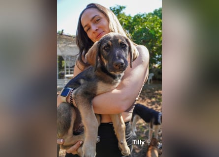 Tilly und Theo suchen noch ein Zuhause