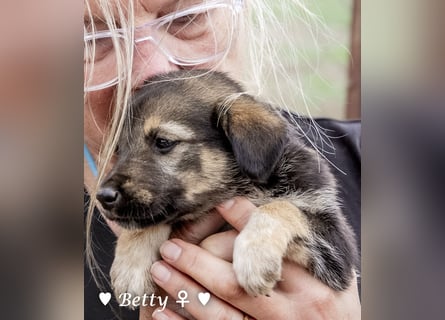 Barbie, Betty, Becky und Brenda suchen ab Mitte Januar ein Zuhause Barbie, Betty, Becky und Brenda suchen ab Mitte Januar ein Zuhause