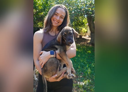 Tilly und Theo suchen noch ein Zuhause