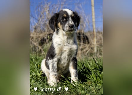 Serena und ihre Geschwister suchen ein Zuhause