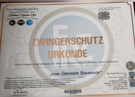 Big Boy Bruno Vom Örmser Bahnhof sucht sein Zuhause