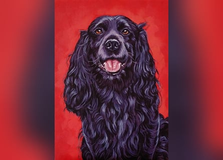 Direkt von Künstlerin: Tierportraits ab Foto (mit Tierschutzhilfe)