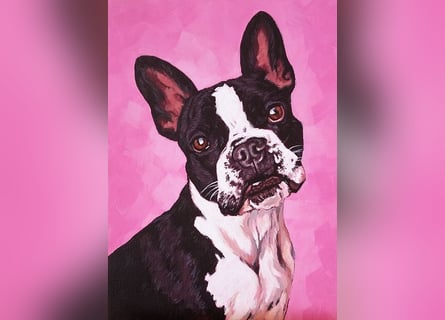 Direkt von Künstlerin: Tierportraits ab Foto (mit Tierschutzhilfe)