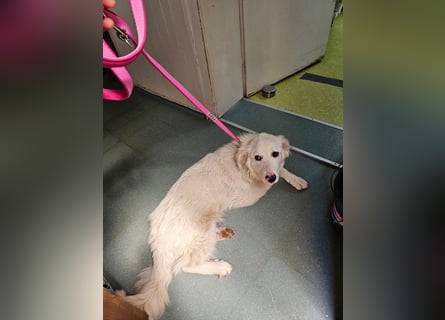 Zauberhafte Skadi, bekommt sie trotz Handicap eine Chance?