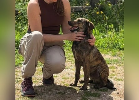 Paco: freut sich über Besuch in Bremen