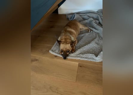 Charlie: wer hat mich lieb?
