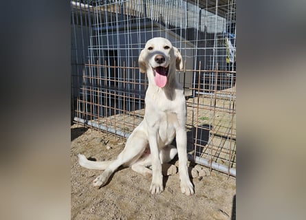 Winston: wer zeigt mir die bunte Welt?