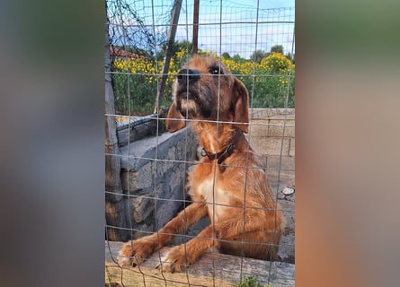 Balu: er hat ganz viel Liebe zu geben