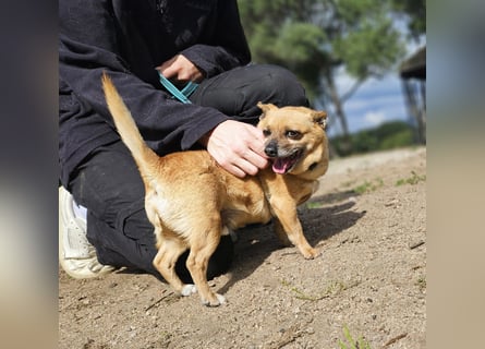 Charlie: wer hat mich lieb?