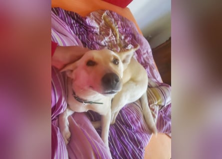 Mila, erwachsene Frau der vielen Facetten