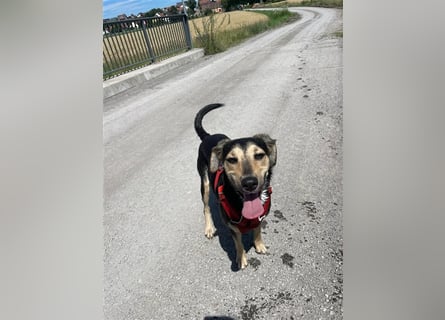 Polly  in der Nähe von Karlsruhe zu besuchen