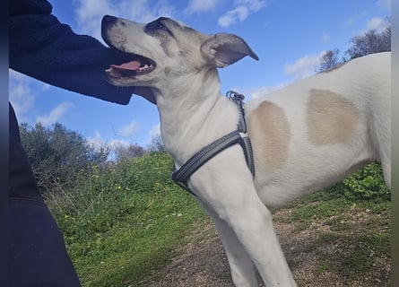 Nicoletta: vom Parkplatz ins schöne Leben