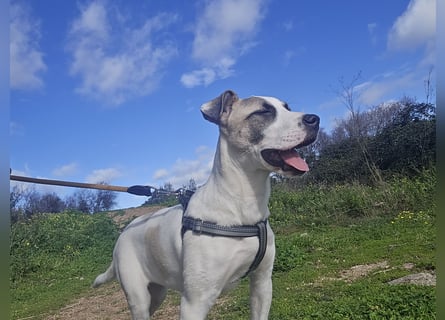 Nicoletta: vom Parkplatz ins schöne Leben