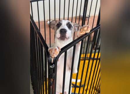 Nicoletta: vom Parkplatz ins schöne Leben