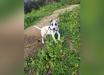 Nicoletta: vom Parkplatz ins schöne Leben