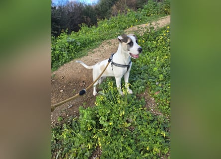 Nicoletta: vom Parkplatz ins schöne Leben