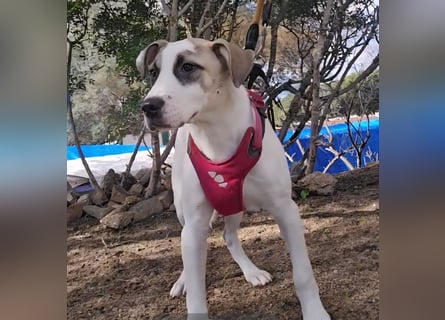 Nicoletta: vom Parkplatz ins schöne Leben