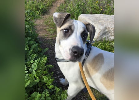 Nicoletta: vom Parkplatz ins schöne Leben